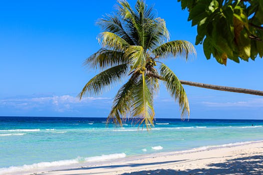 Seaside Paradise Hotels in Jamaica Treasure Beach Serenity
