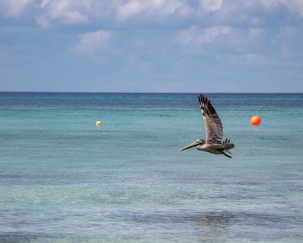 Tropical Retreat Hotels in Mexico Cozumel Island Horizons
