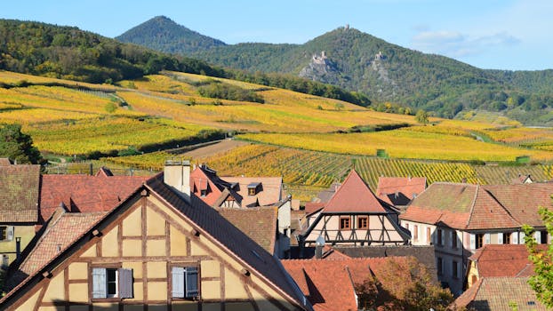 Vineyard Retreat Hotels in France Alsace Countryside