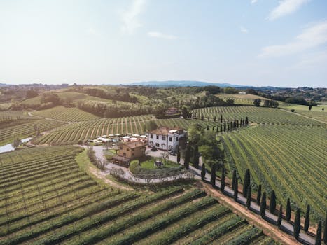 Vineyard Retreat Hotels in Italy Emilia Romagna Countryside