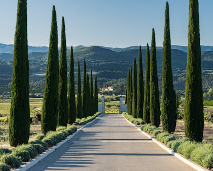 Vineyard Splendour Hotels in France Provence Countryside
